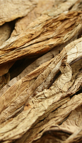 Camtek